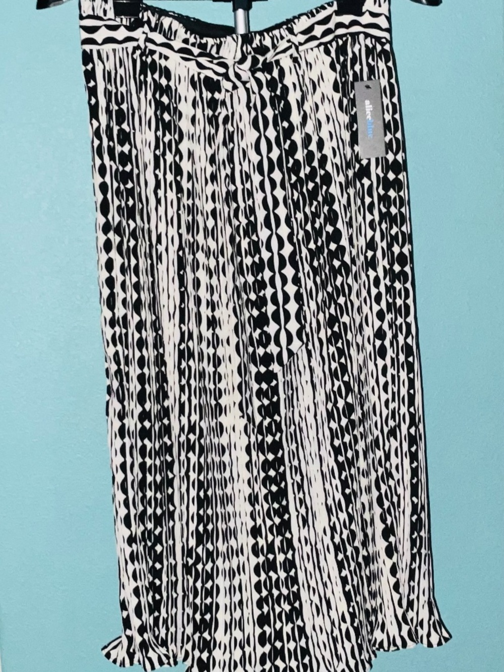 Pull On Pleated Skirt with Flared Hem. Women’s Large. NWT.